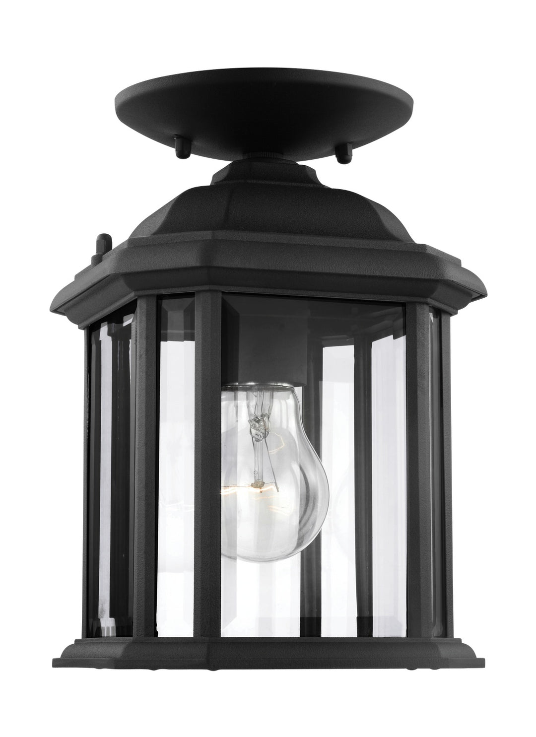Generation Lighting. One Light Outdoor Semi-Flush Convertible Pendant