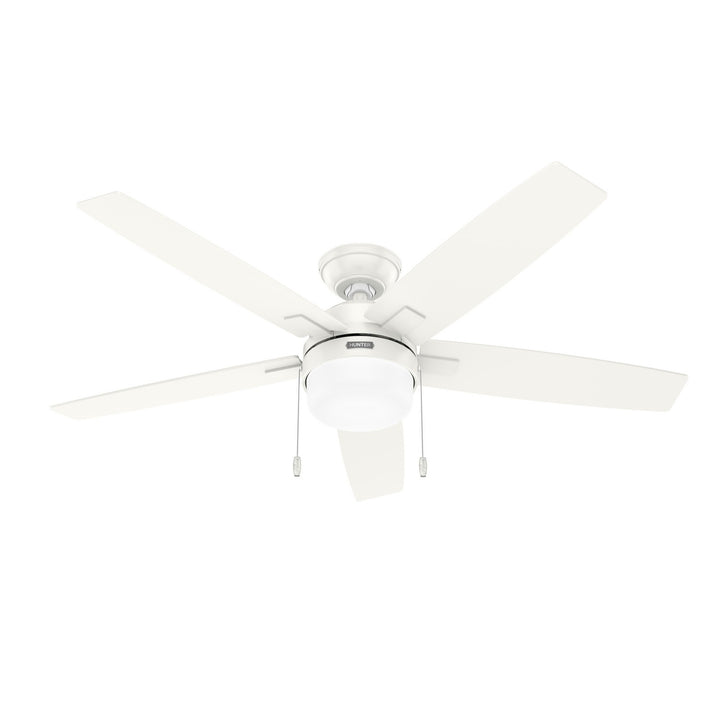 Hunter Fan Anisten Pull Chain Ceiling Fan with 13W LED