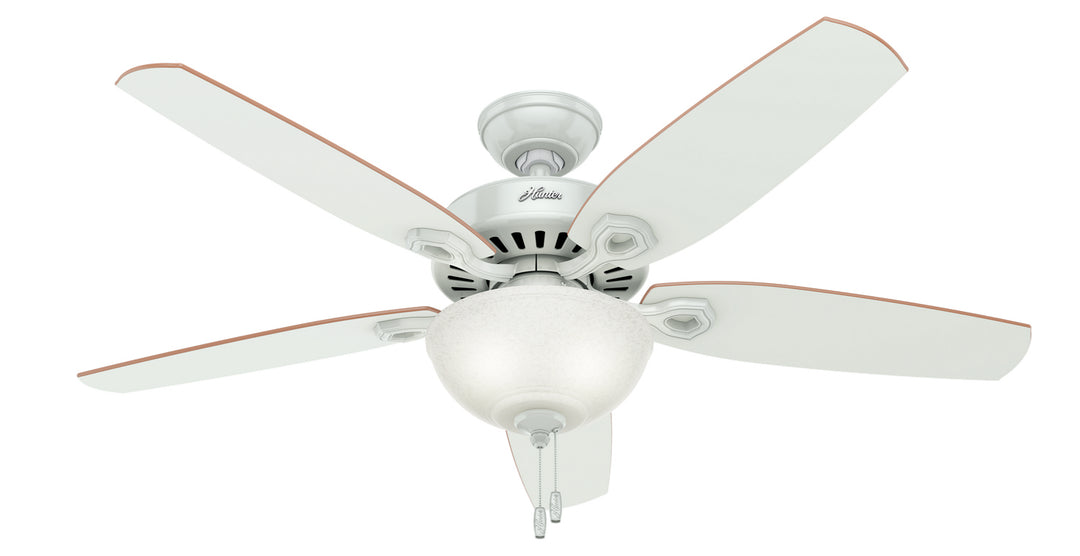 Hunter Fan Builder Deluxe 52" Indoor Pull Chain Ceiling Fan with 9W LED