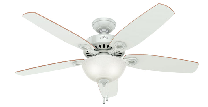 Hunter Fan Builder Deluxe 52" Indoor Pull Chain Ceiling Fan with 9W LED