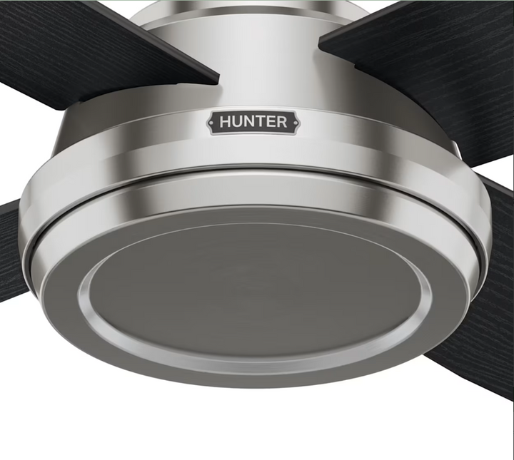 Hunter Fan Dempsey 52" Flushmount Ceiling Fan with Remote