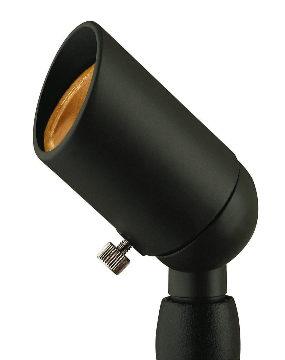Accent Spot Light LED Landscape Spot in Bronze
