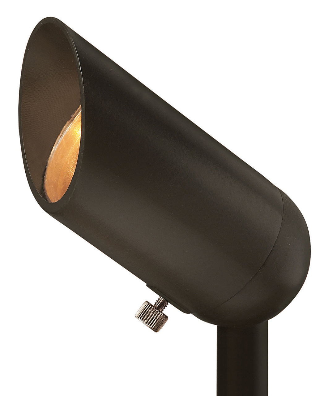 Accent Spot Light LED Spot Light in Bronze