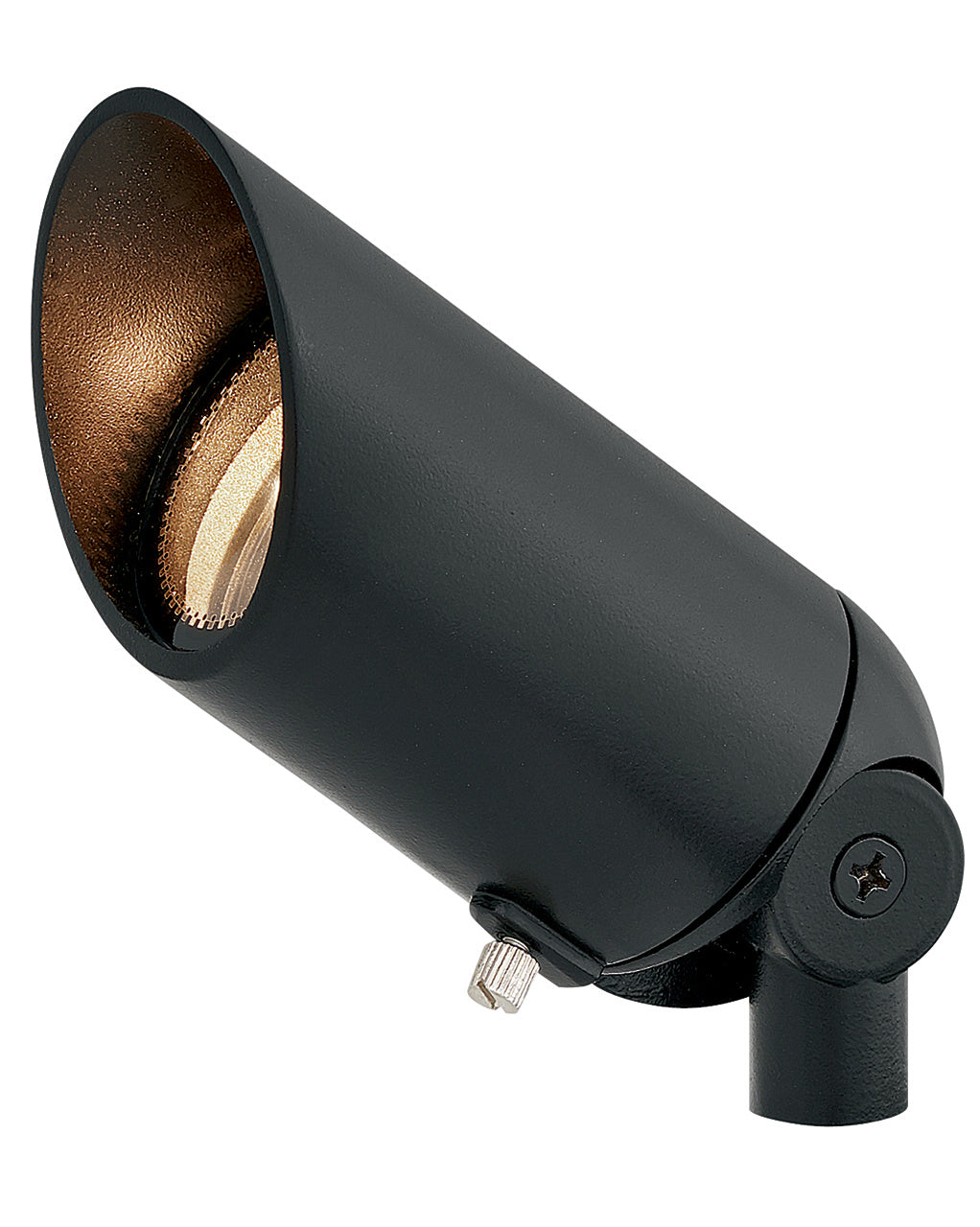 Accent Spot Light LED Spot Light in Satin Black