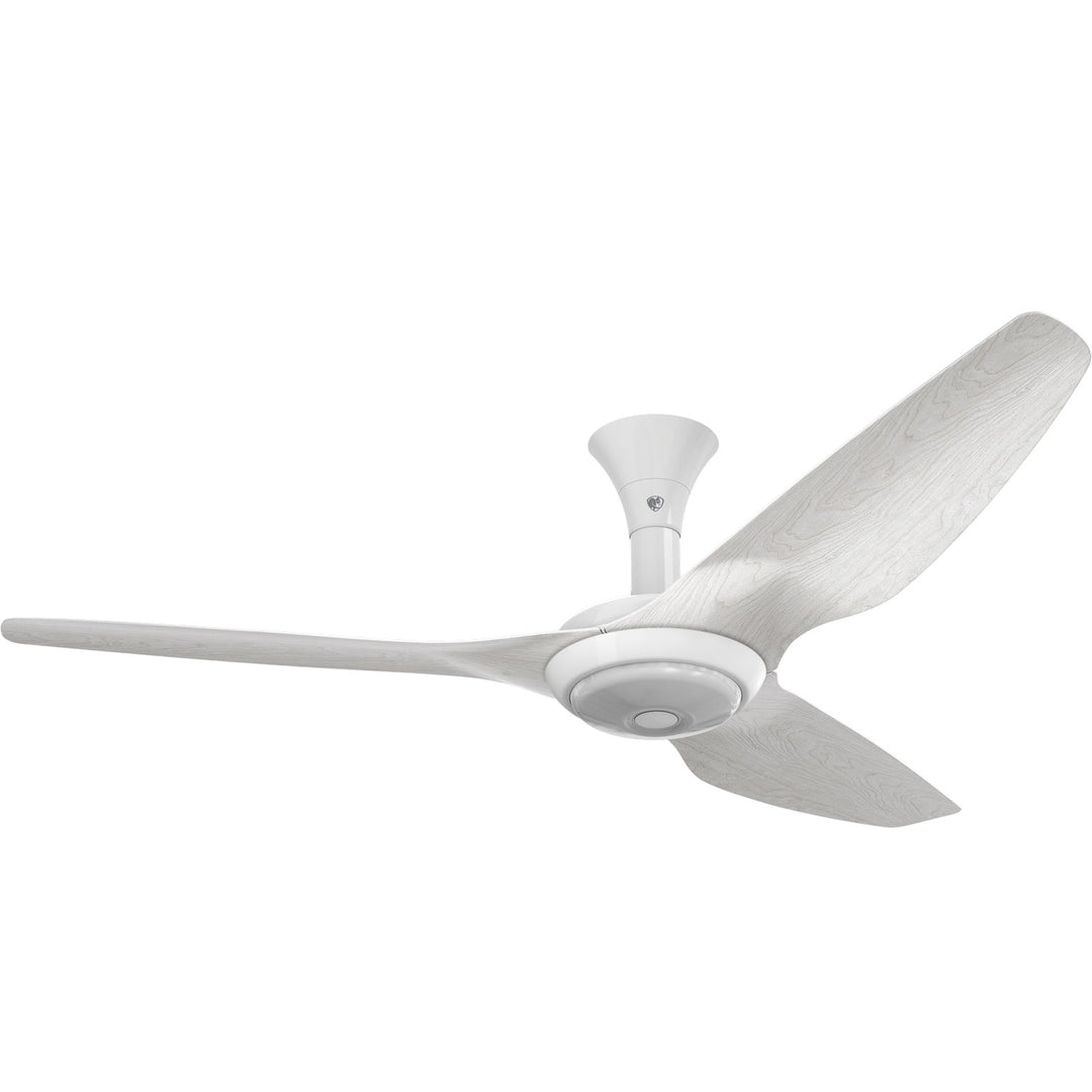 Big Ass Fans 60"Ceiling Fan