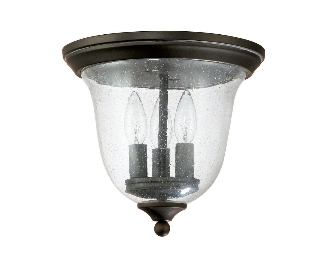 Capital Lighting Three Light Outdoor Flush Mount