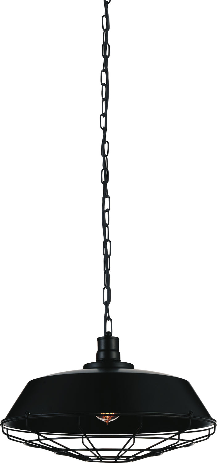 CWI Lighting One Light Pendant