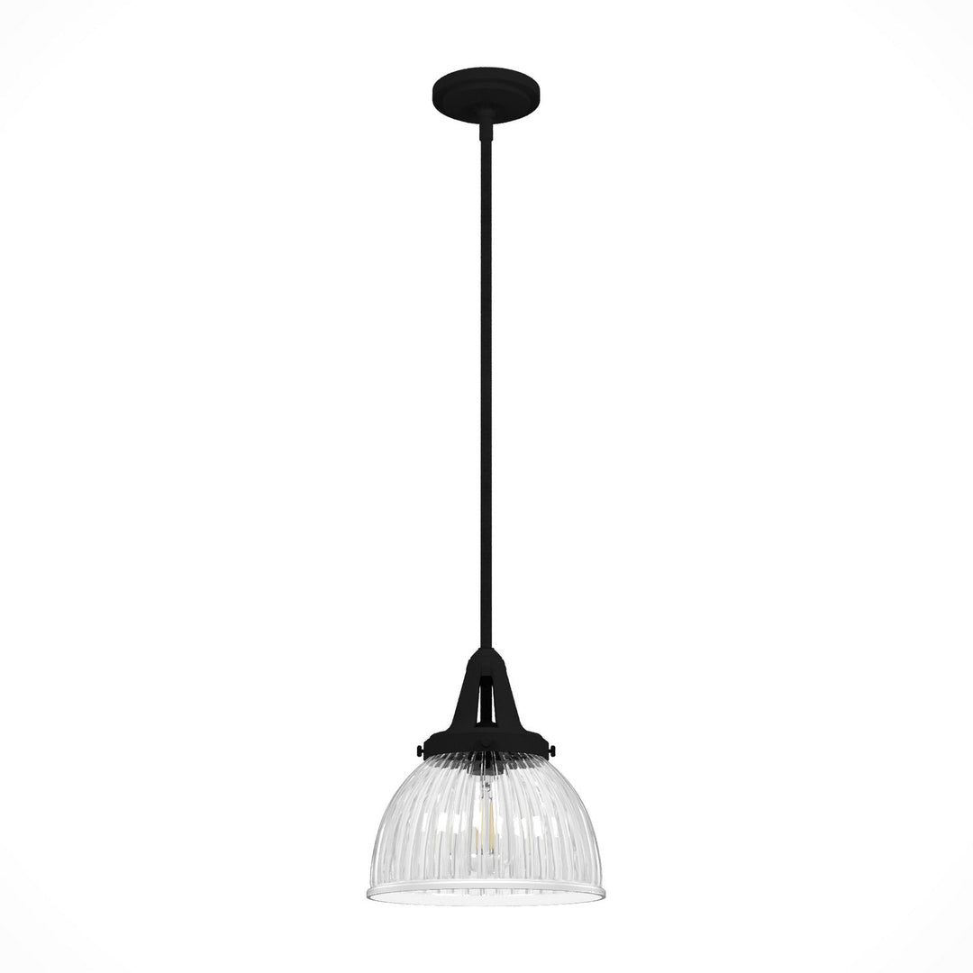 Cypress Grove One Light Pendant in Natural Black Iron