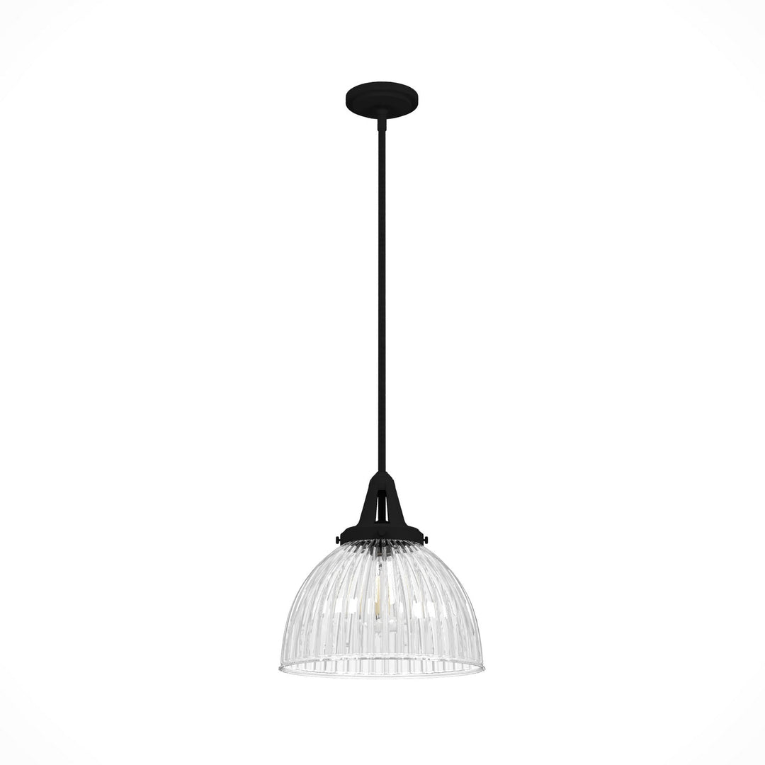 Cypress Grove One Light Pendant in Natural Black Iron