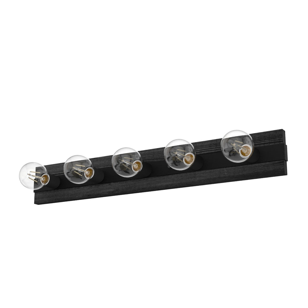 Donelson Five Light Vanity in Natural Black Iron