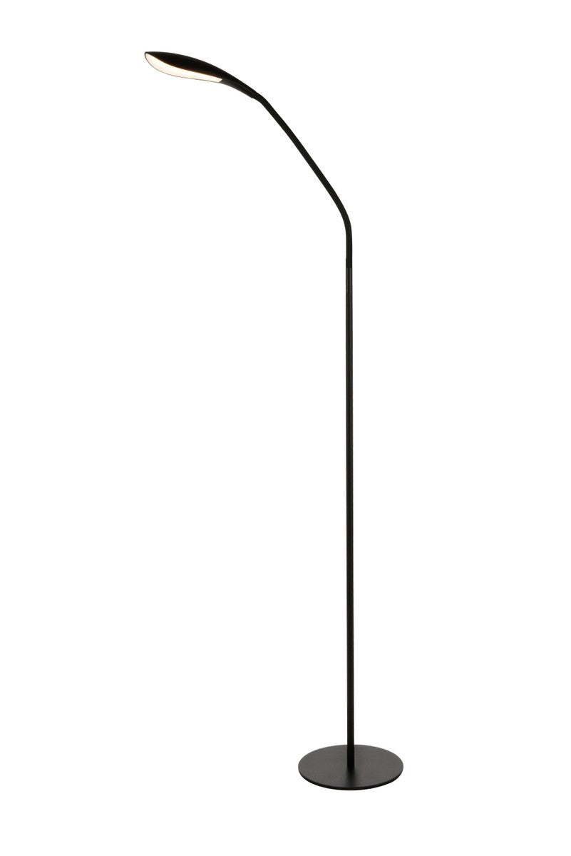 Elegant Lighting LED Floor Lamp