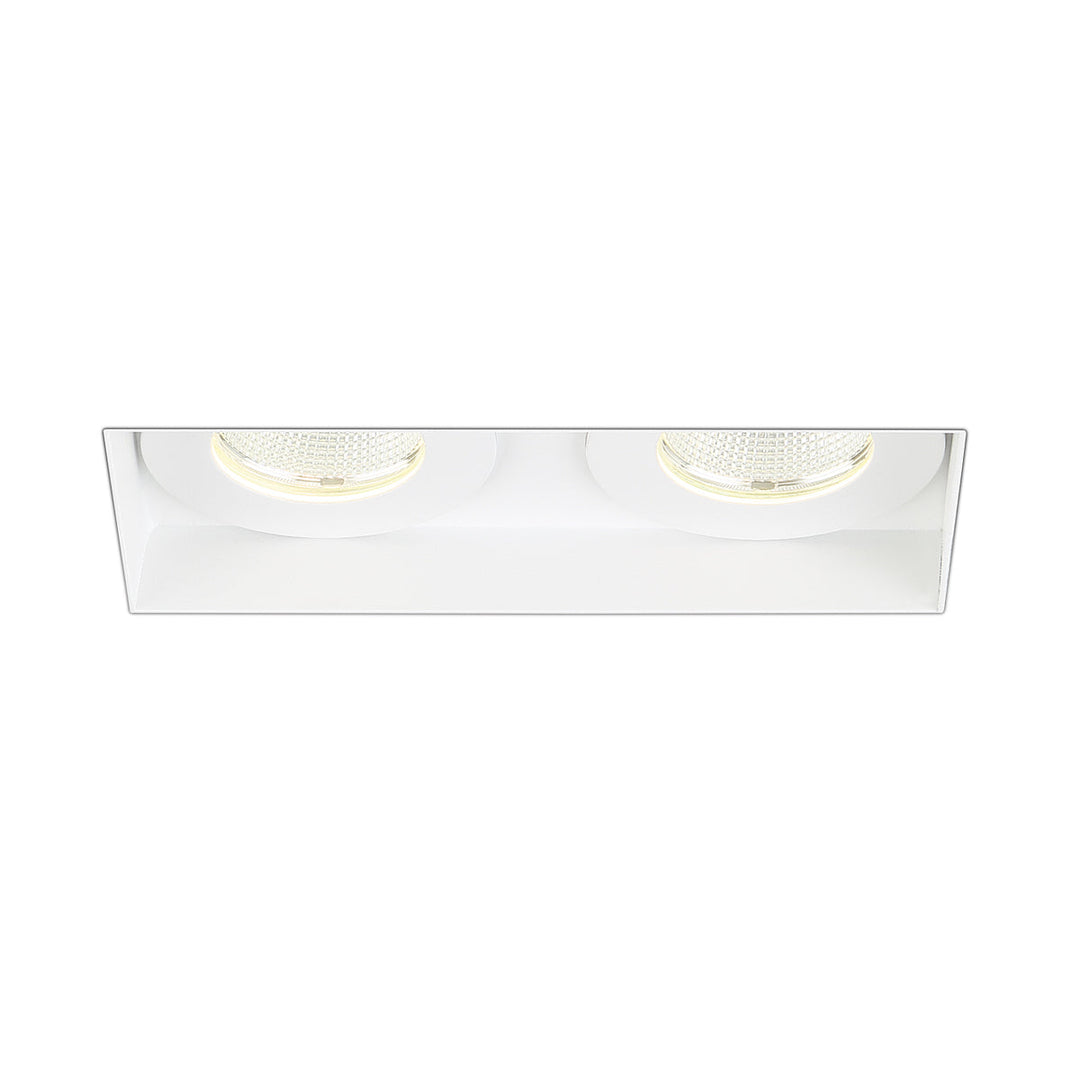 Eurofase Two Light Downlight