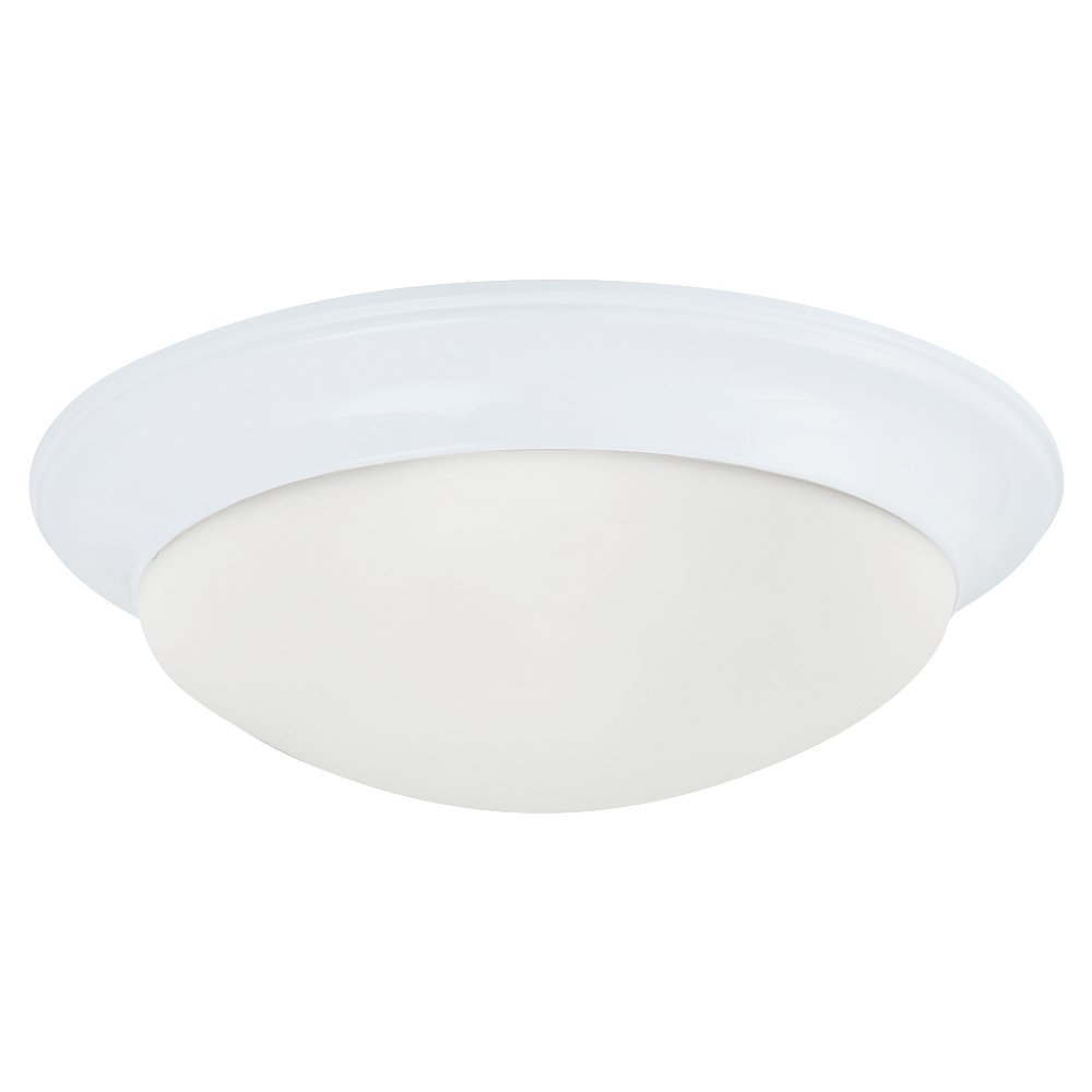 Generation Lighting. One Light Flush Mount