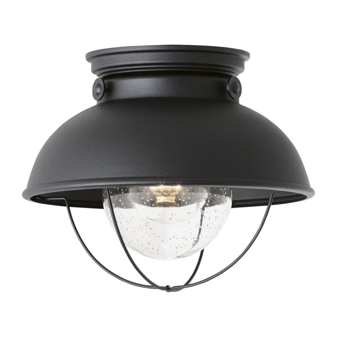 Generation Lighting. One Light Outdoor Flush Mount