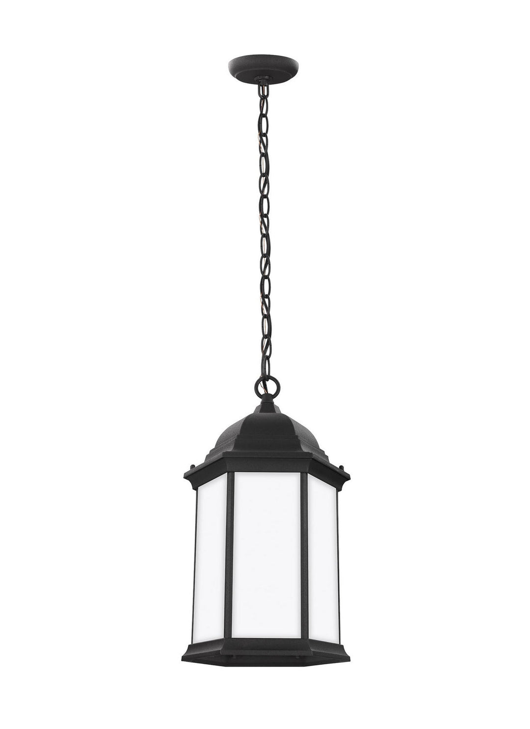 Generation Lighting. One Light Outdoor Pendant