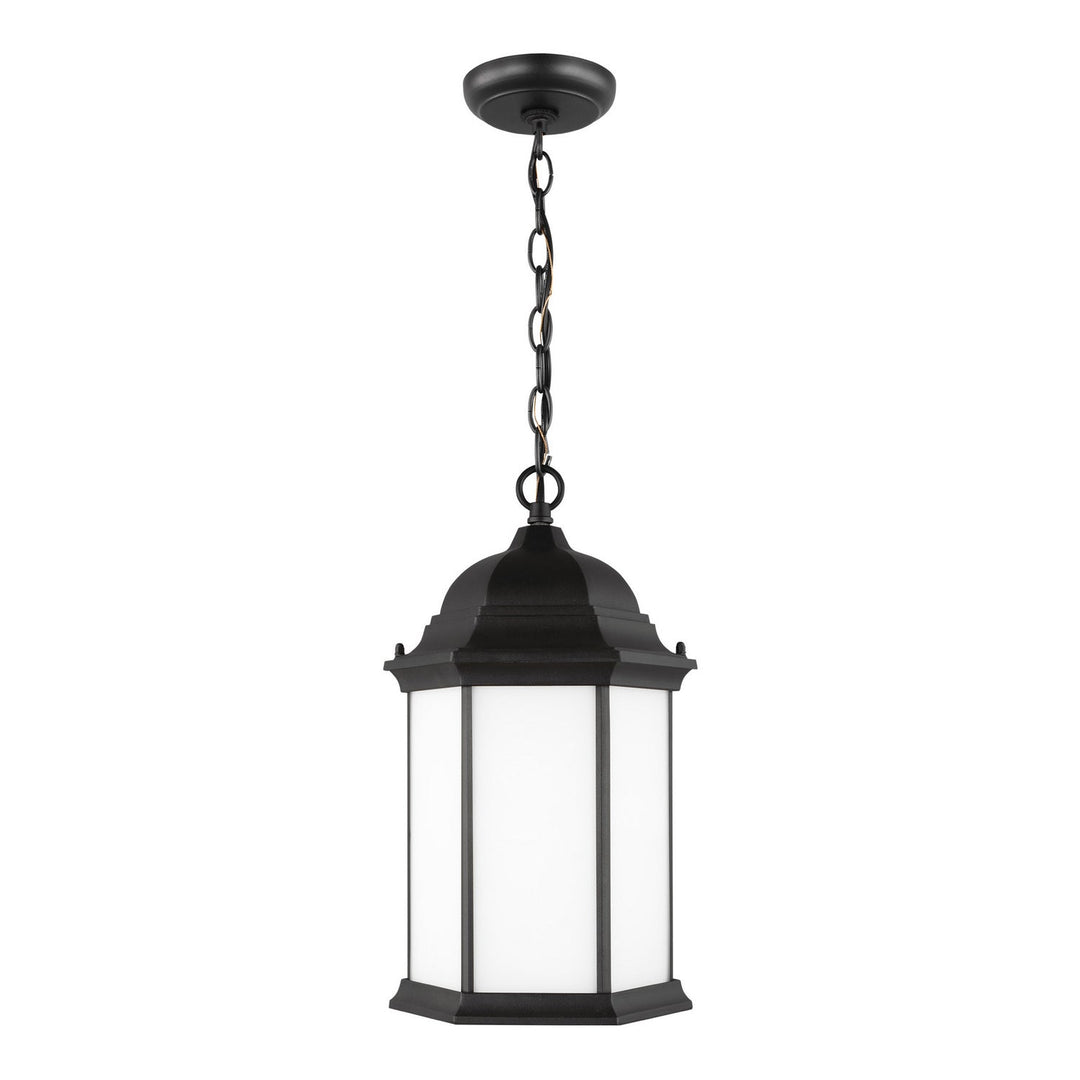 Generation Lighting. One Light Outdoor Pendant