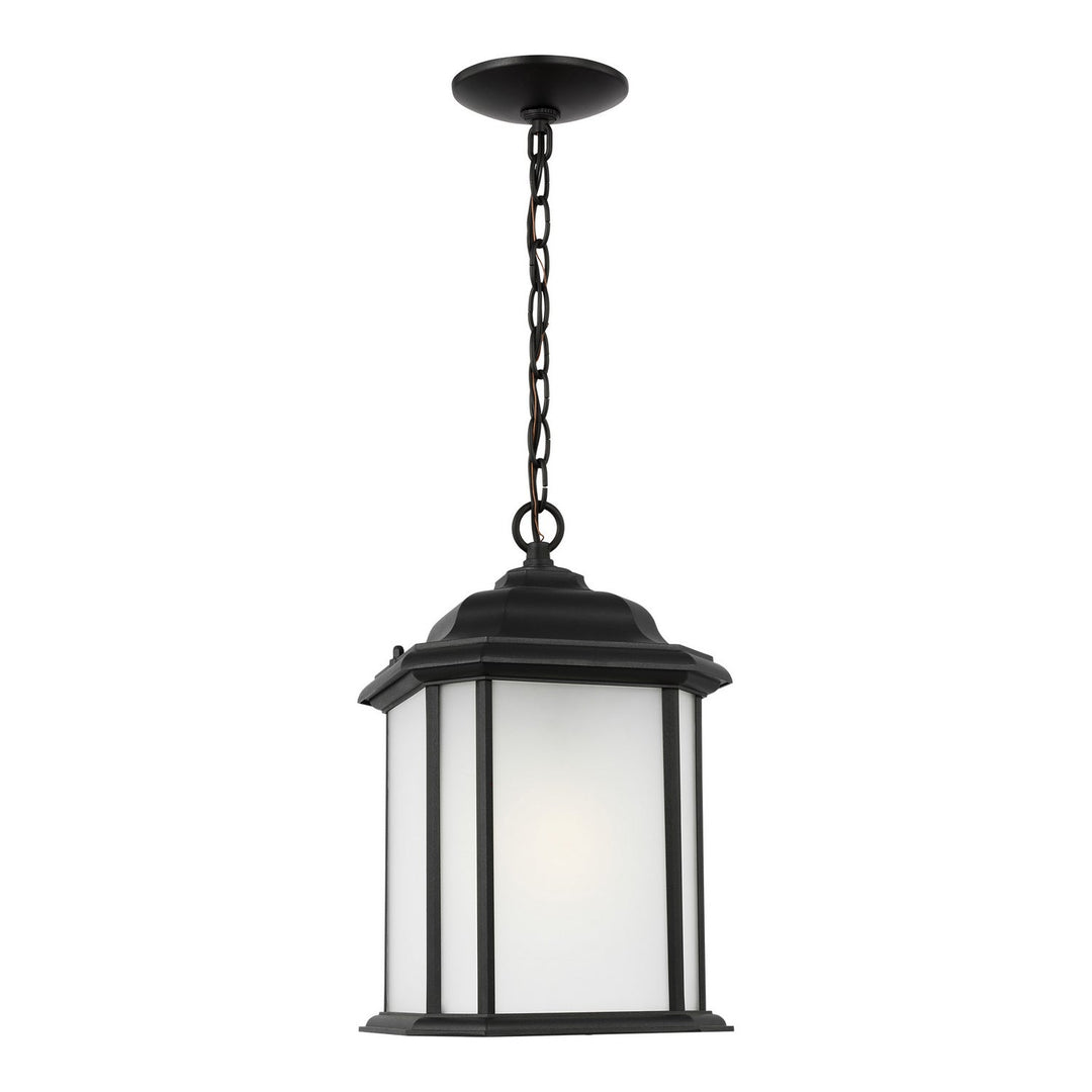Generation Lighting. One Light Outdoor Pendant