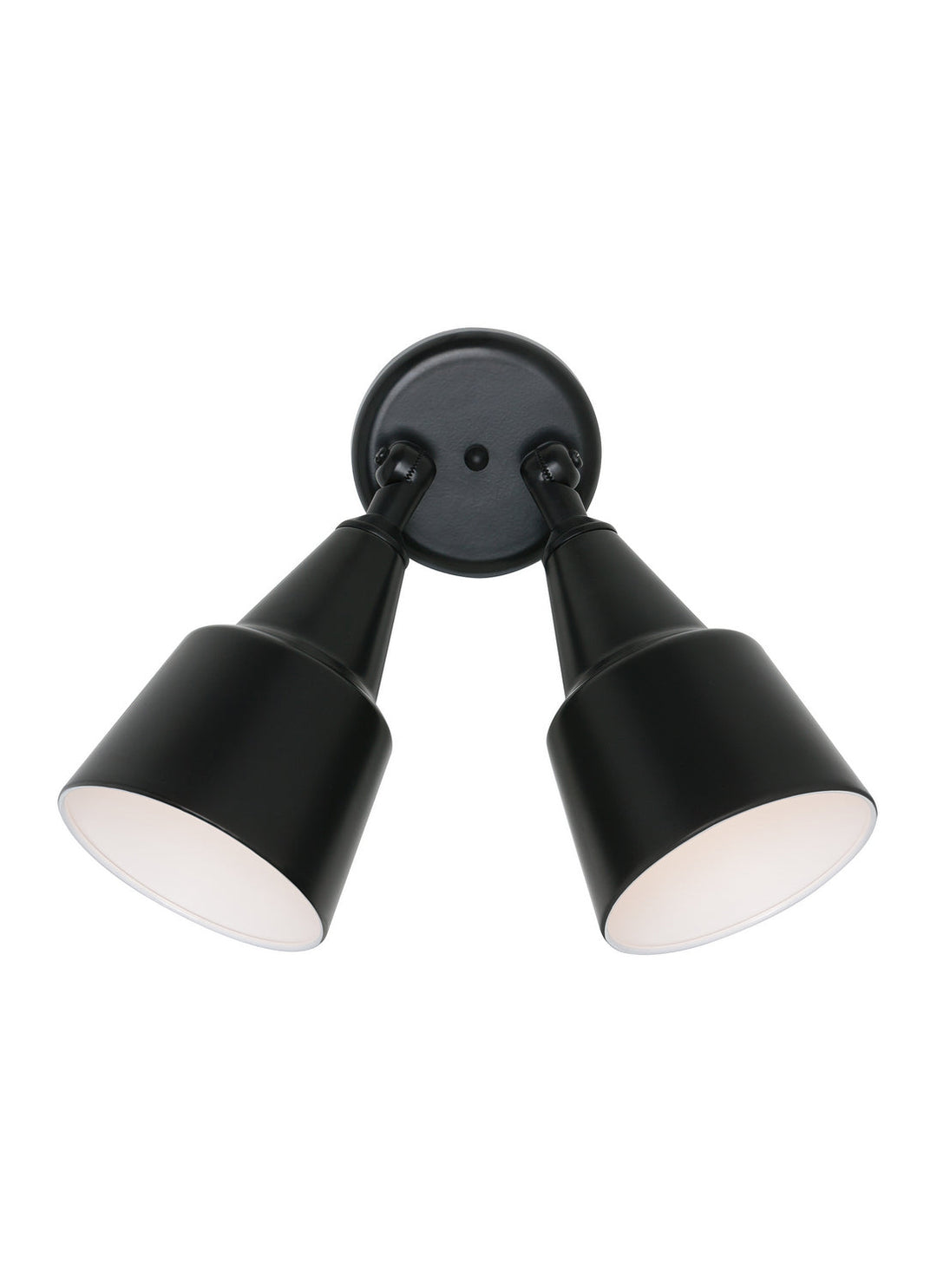 Generation Lighting. Two Light Flood Light