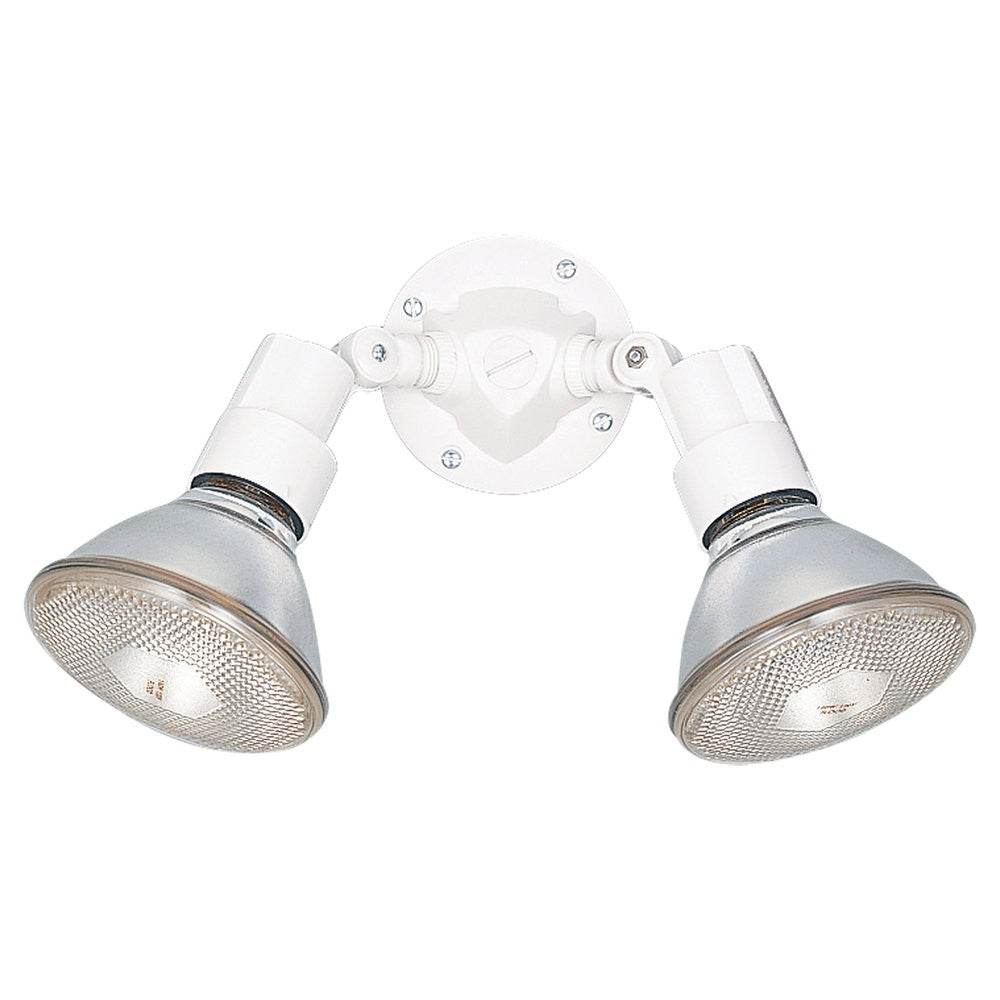 Generation Lighting. Two Light Flood Light