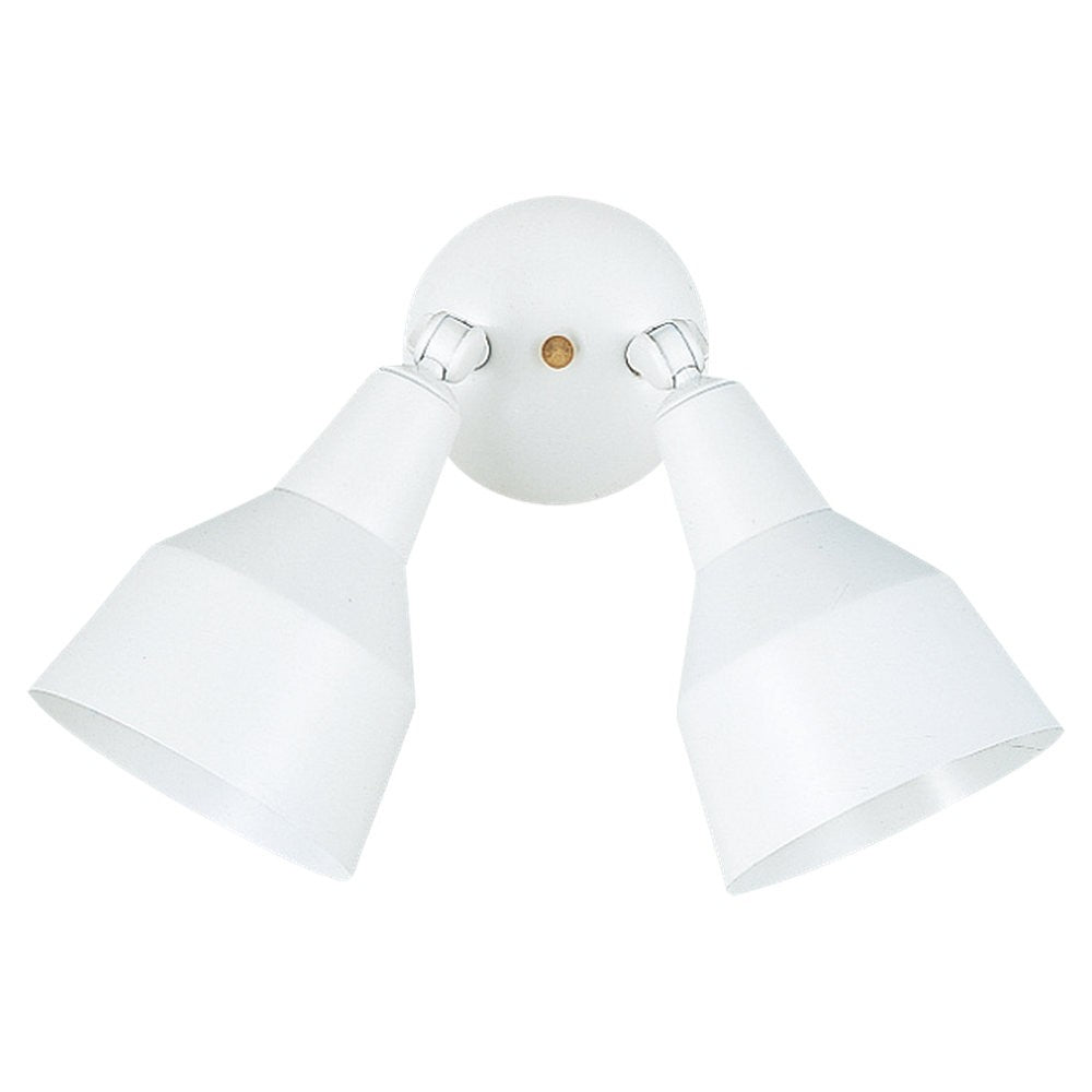 Generation Lighting. Two Light Flood Light