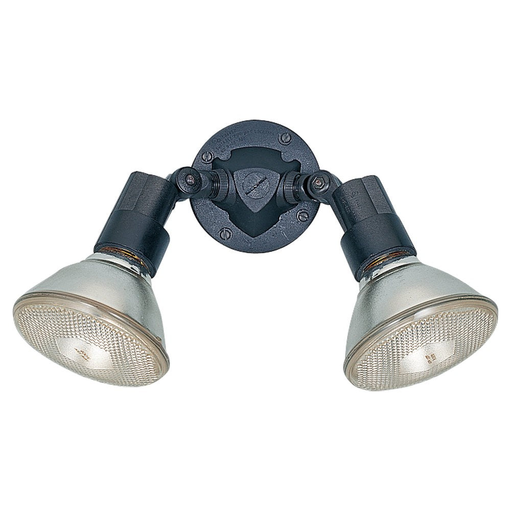 Generation Lighting. Two Light Flood Light