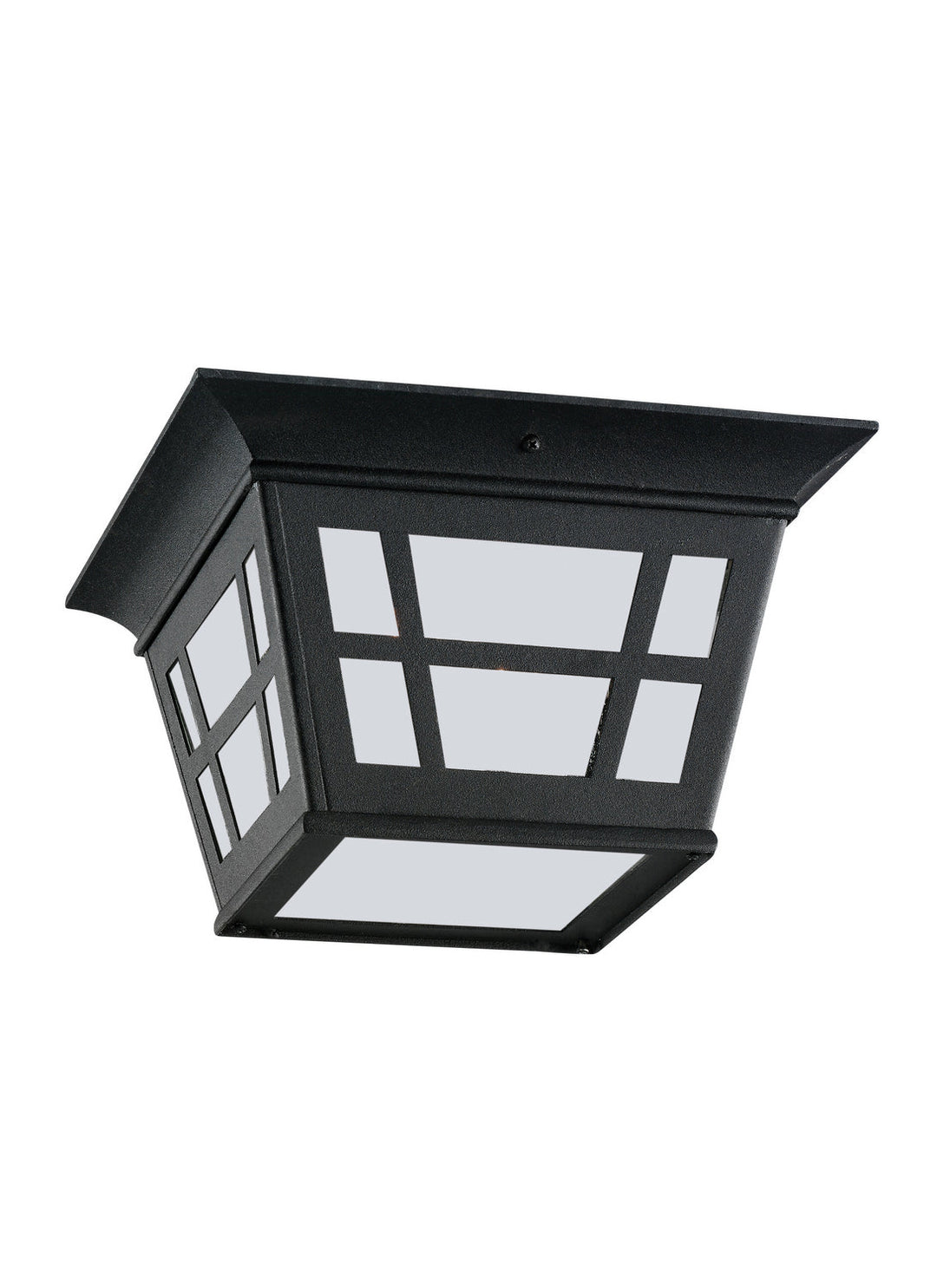 Generation Lighting. Two Light Outdoor Flush Mount