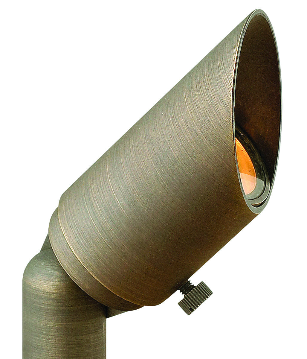 Hardy Island Accent Spot Light LED Landscape Spot in Matte Bronze