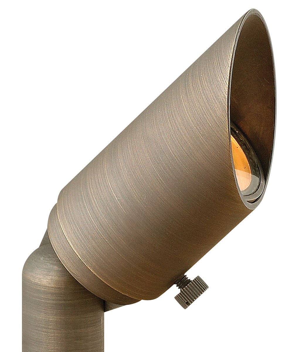 Hardy Island Accent Spot Light LED Landscape Spot in Matte Bronze