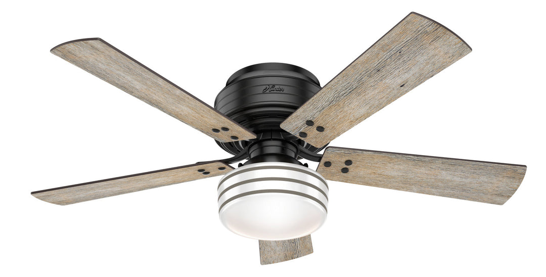 Hunter 52"Ceiling Fan