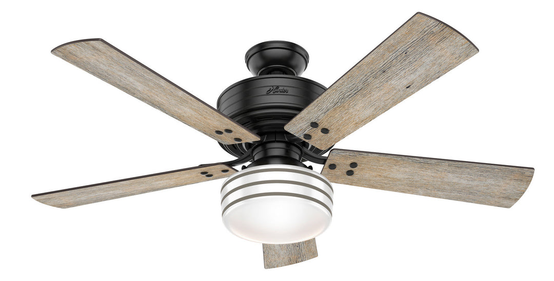 Hunter 52"Ceiling Fan