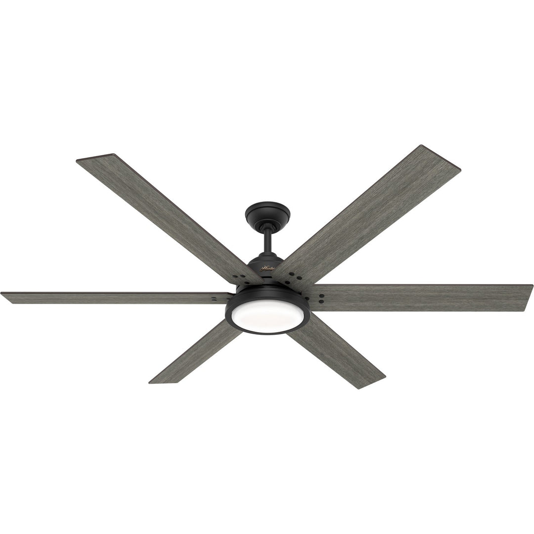 Hunter 70"Ceiling Fan