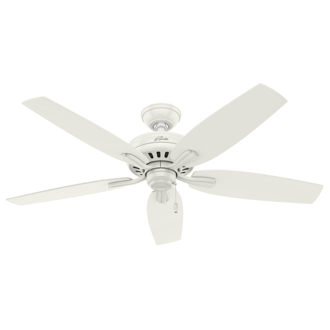 Hunter Fan Newsome 52" Indoor/Outdoor Pull Chain Ceiling Fan