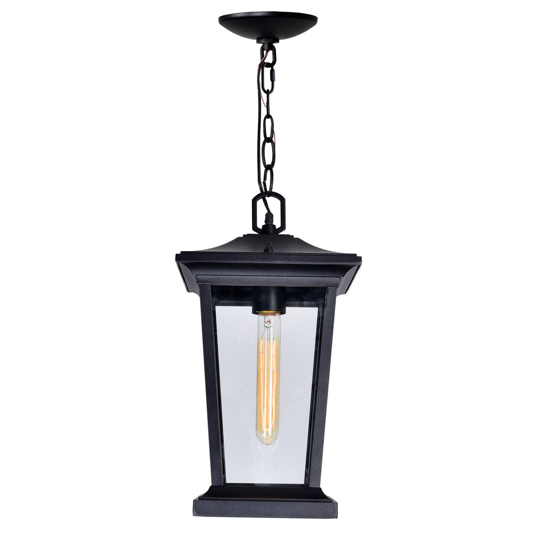 CWI Lighting One Light Outdoor Hanging Pendant