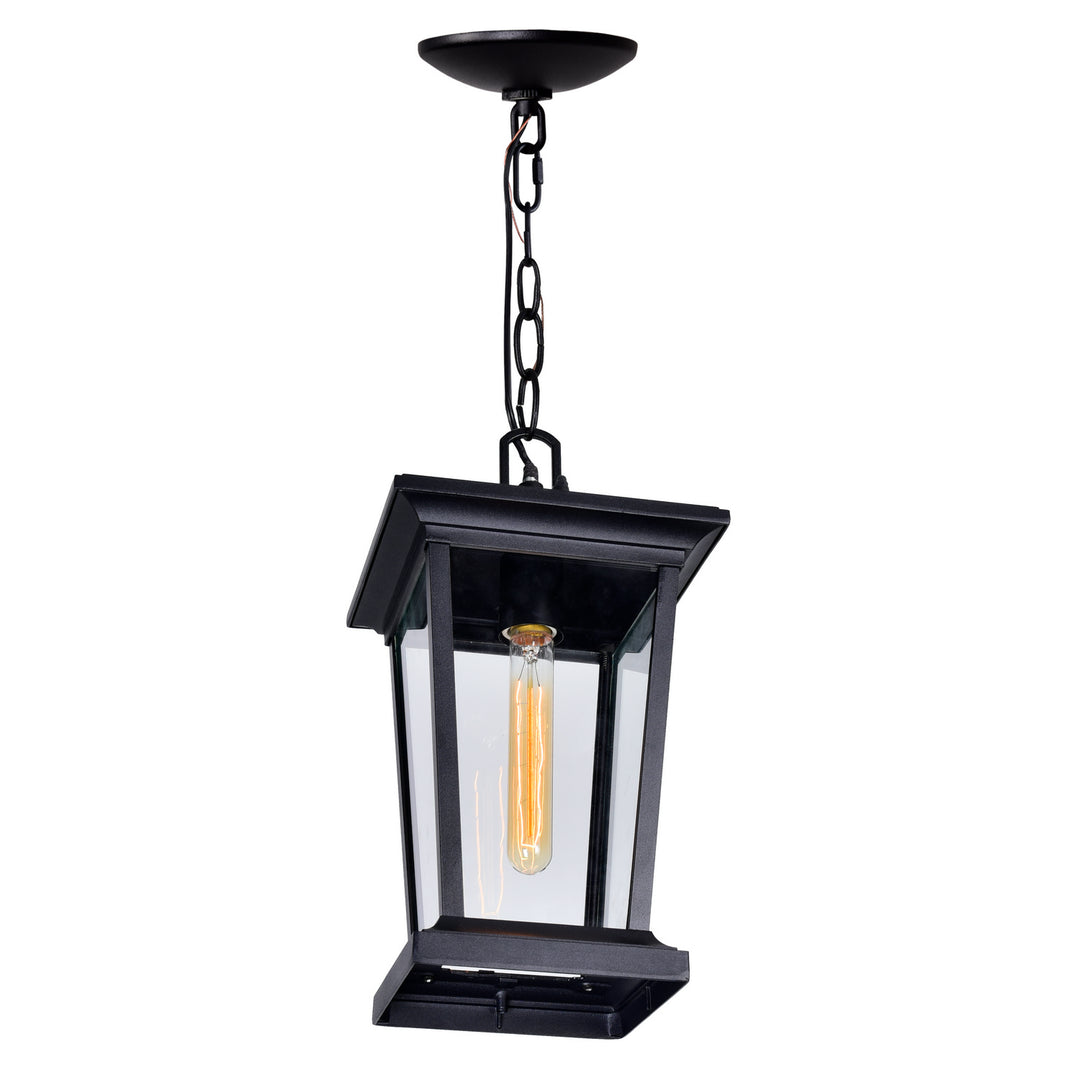 CWI Lighting One Light Outdoor Hanging Pendant