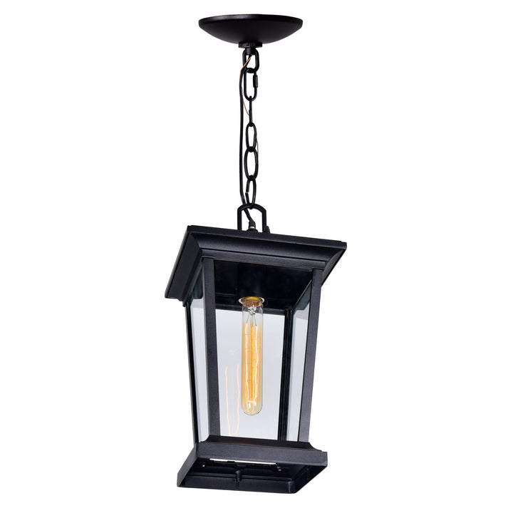 CWI Lighting One Light Outdoor Hanging Pendant