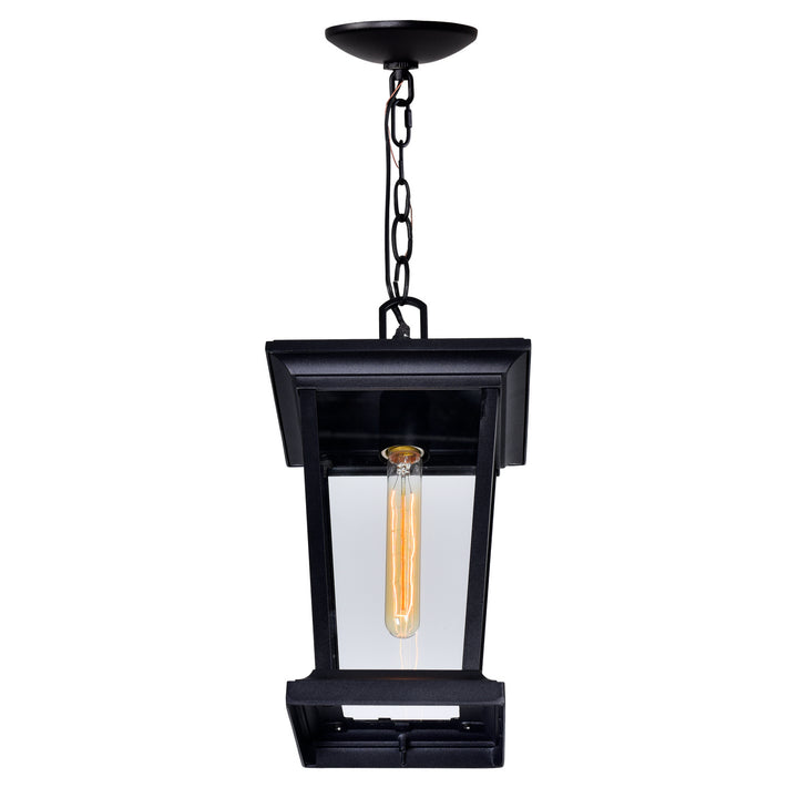 CWI Lighting One Light Outdoor Hanging Pendant