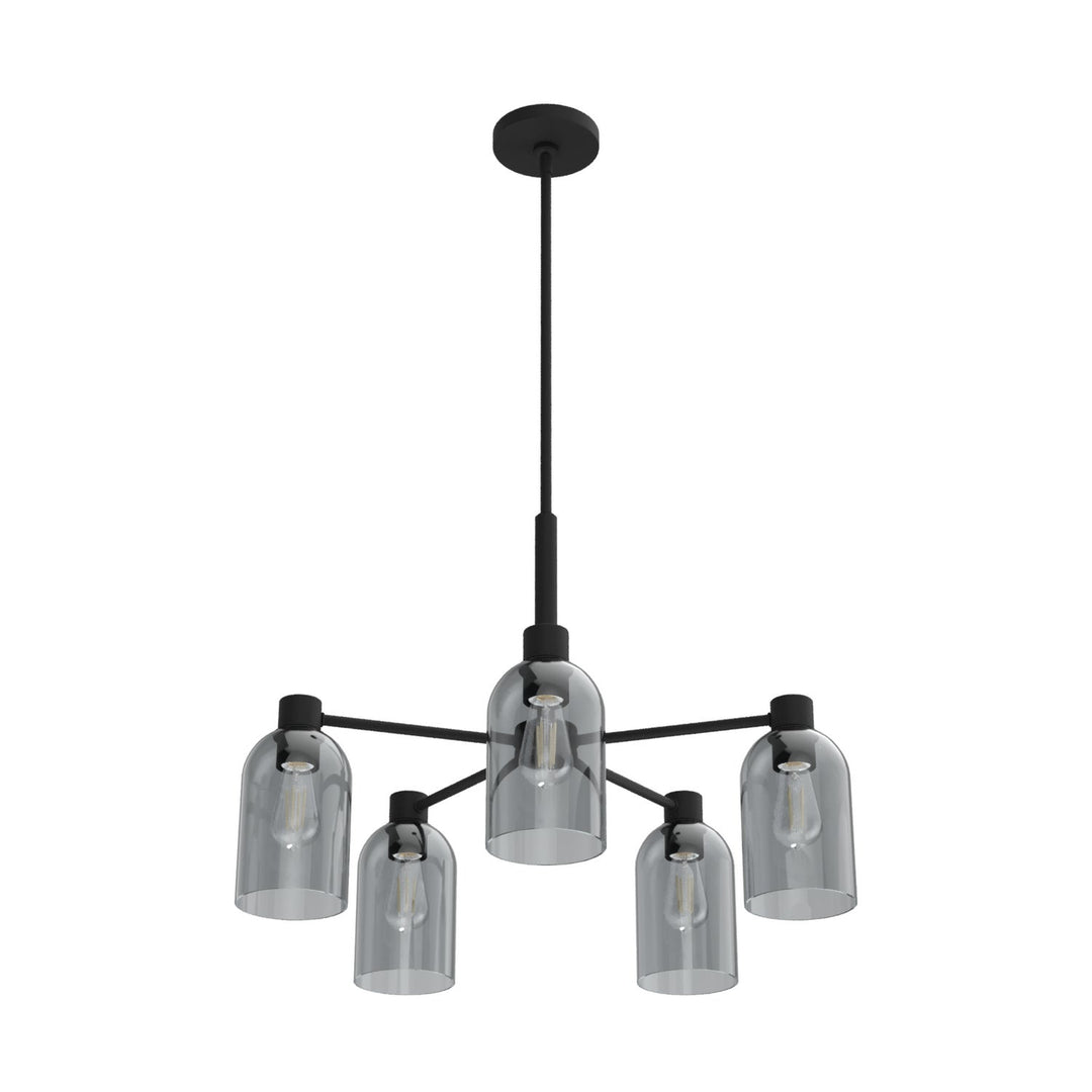 Lochemeade Five Light Chandelier in Natural Black Iron