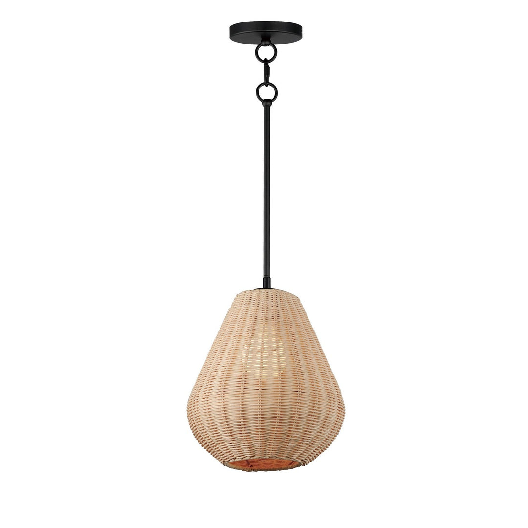 Maxim LED Pendant