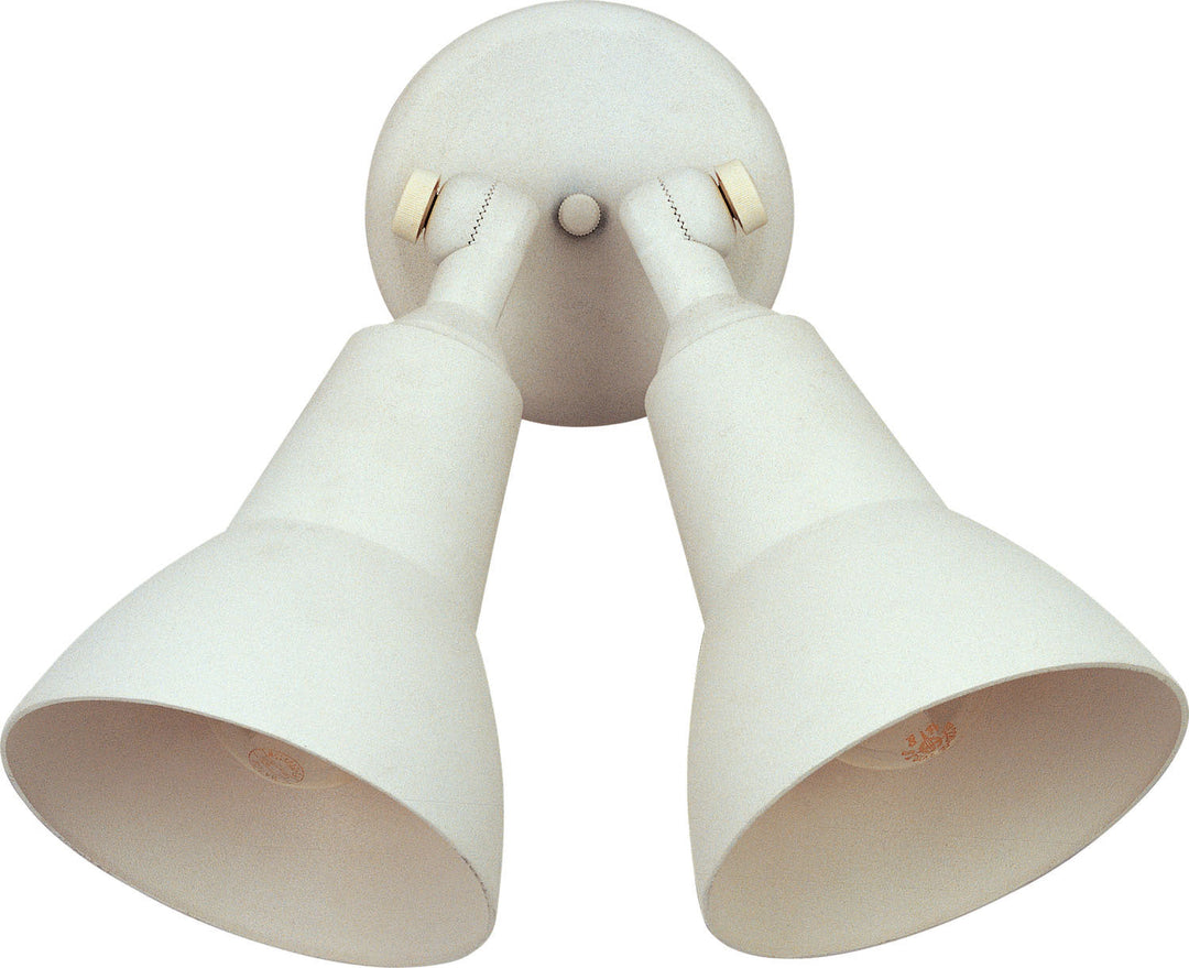 Maxim Two Light Outdoor Wall Lantern