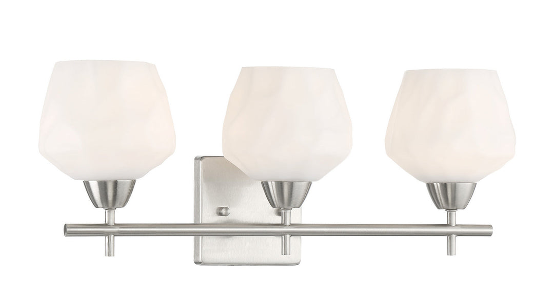 Minka Lavery Camrin Three Light Bath in Brushed Nickel