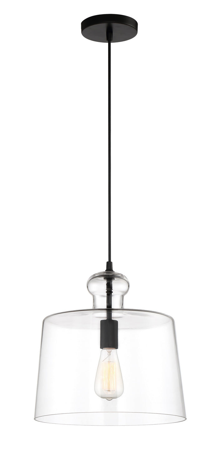 Minka Lavery Clarity One Light Pendant in Coal