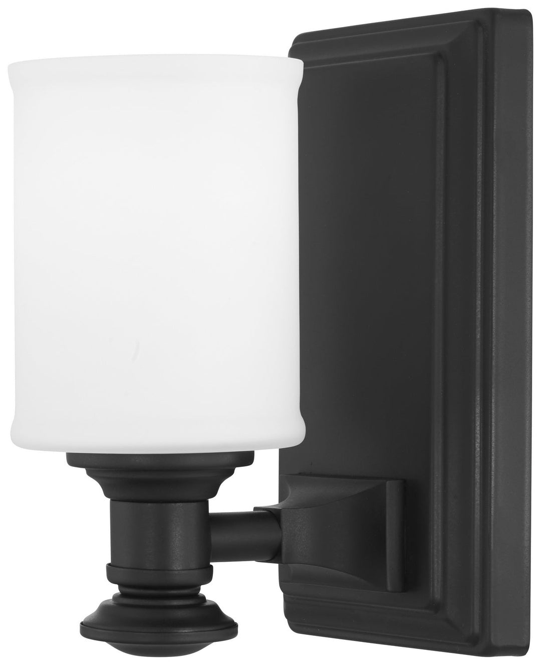 Minka Lavery Harbour Point One Light Vanity in Coal