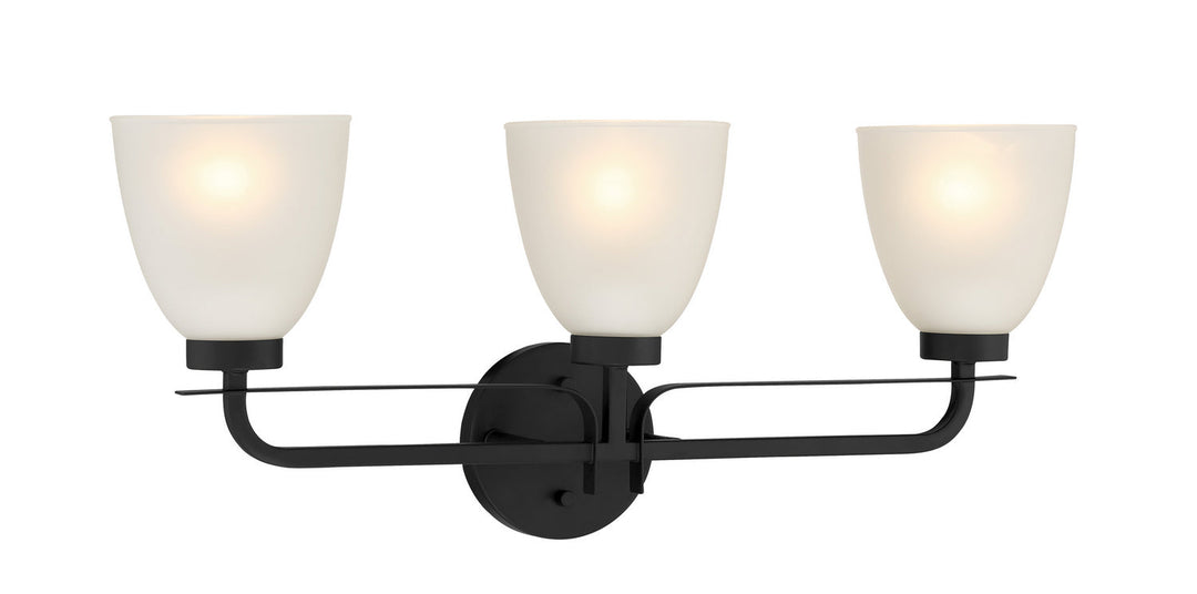 Minka Lavery Kaitlen Three Light Bath in Coal