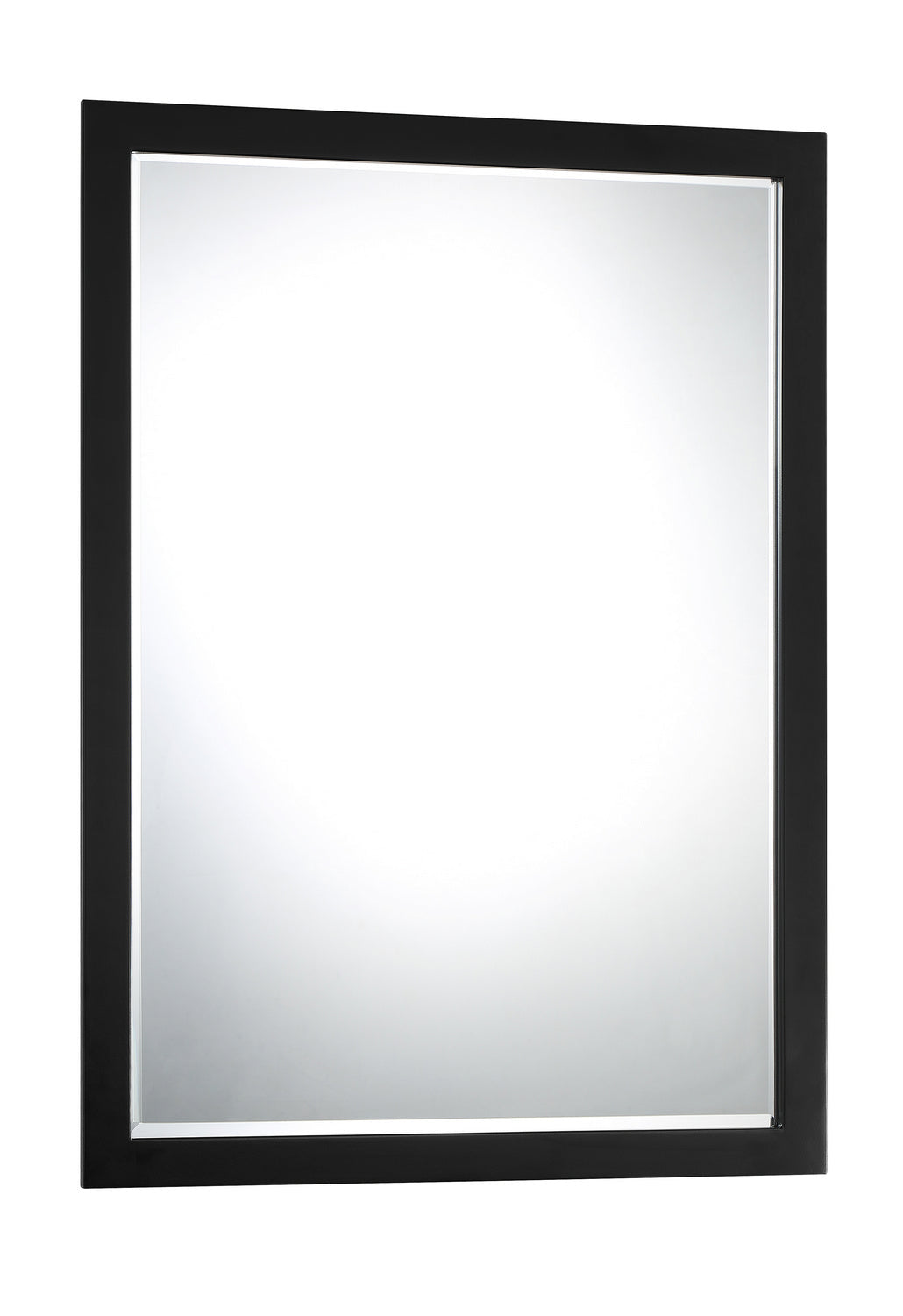 Minka Lavery Paradox Mirror in Coal