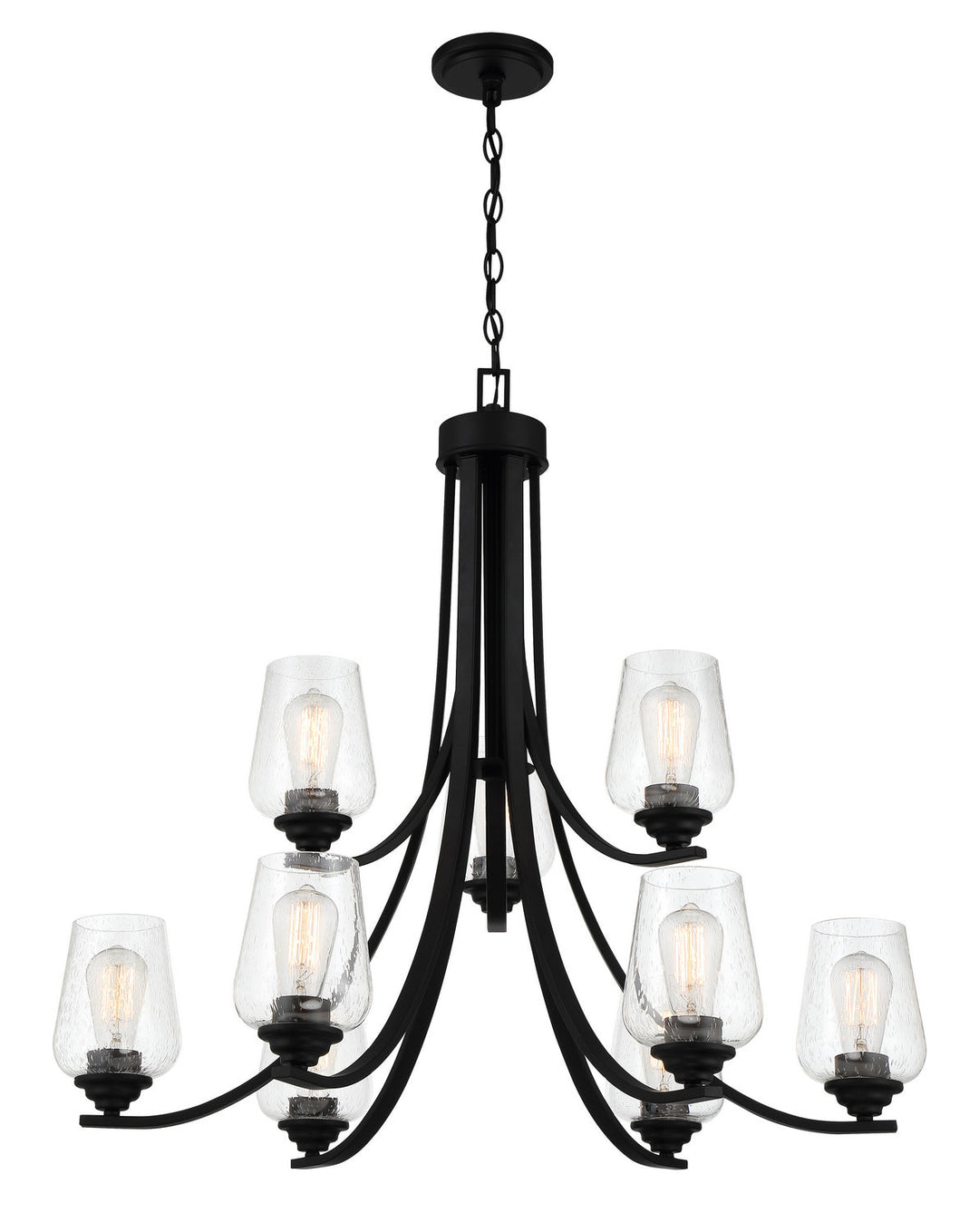 Minka Lavery Shyloh Nine Light Chandelier in Coal