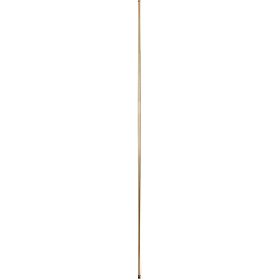 Quorum Downrod