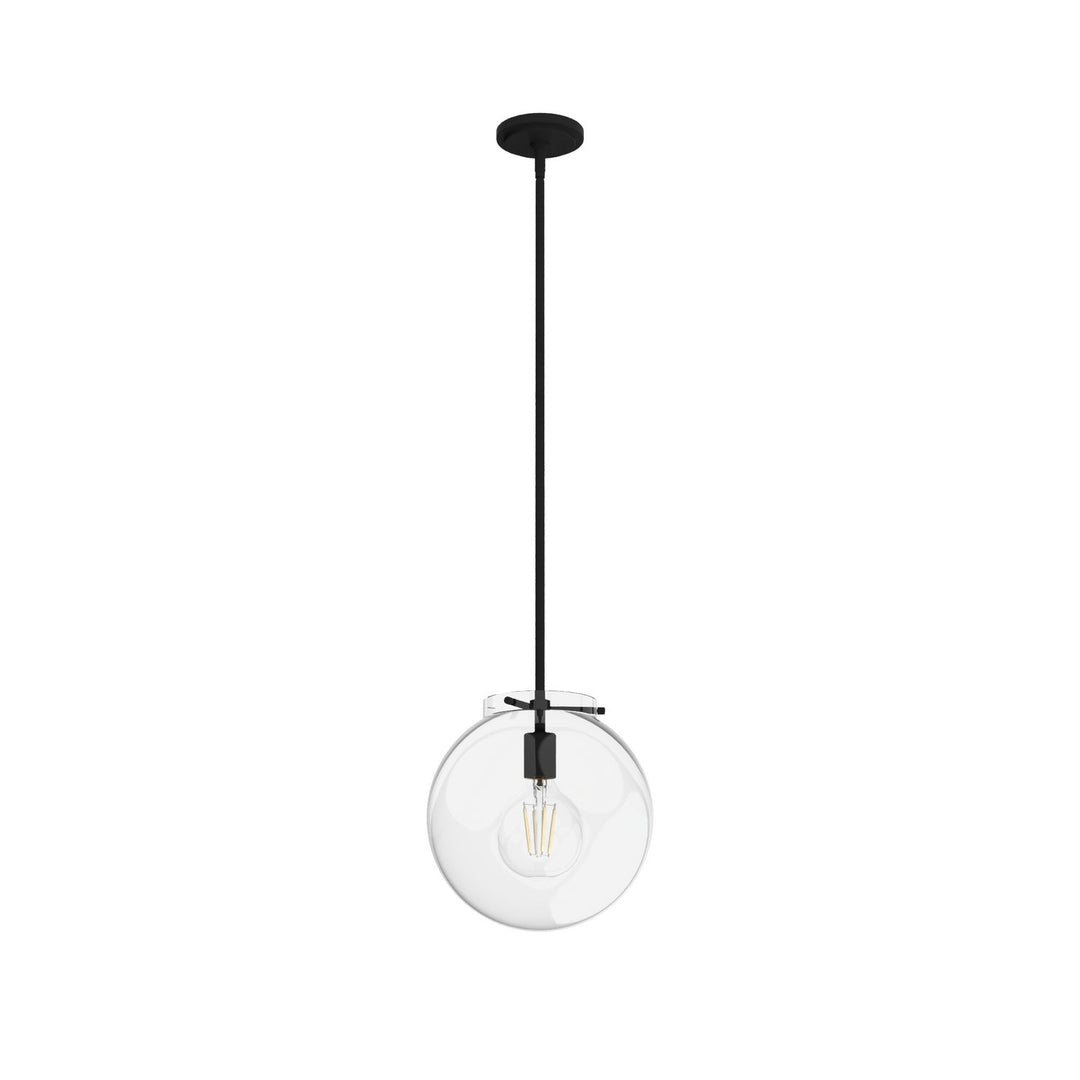 Sacha One Light Pendant in Natural Black Iron