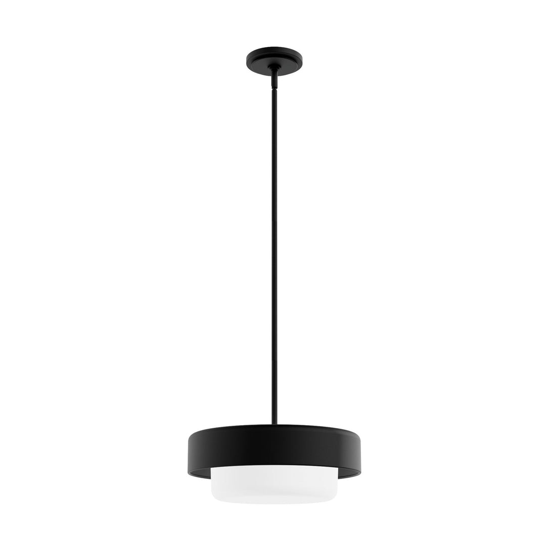 Station Two Light Pendant in Natural Black Iron