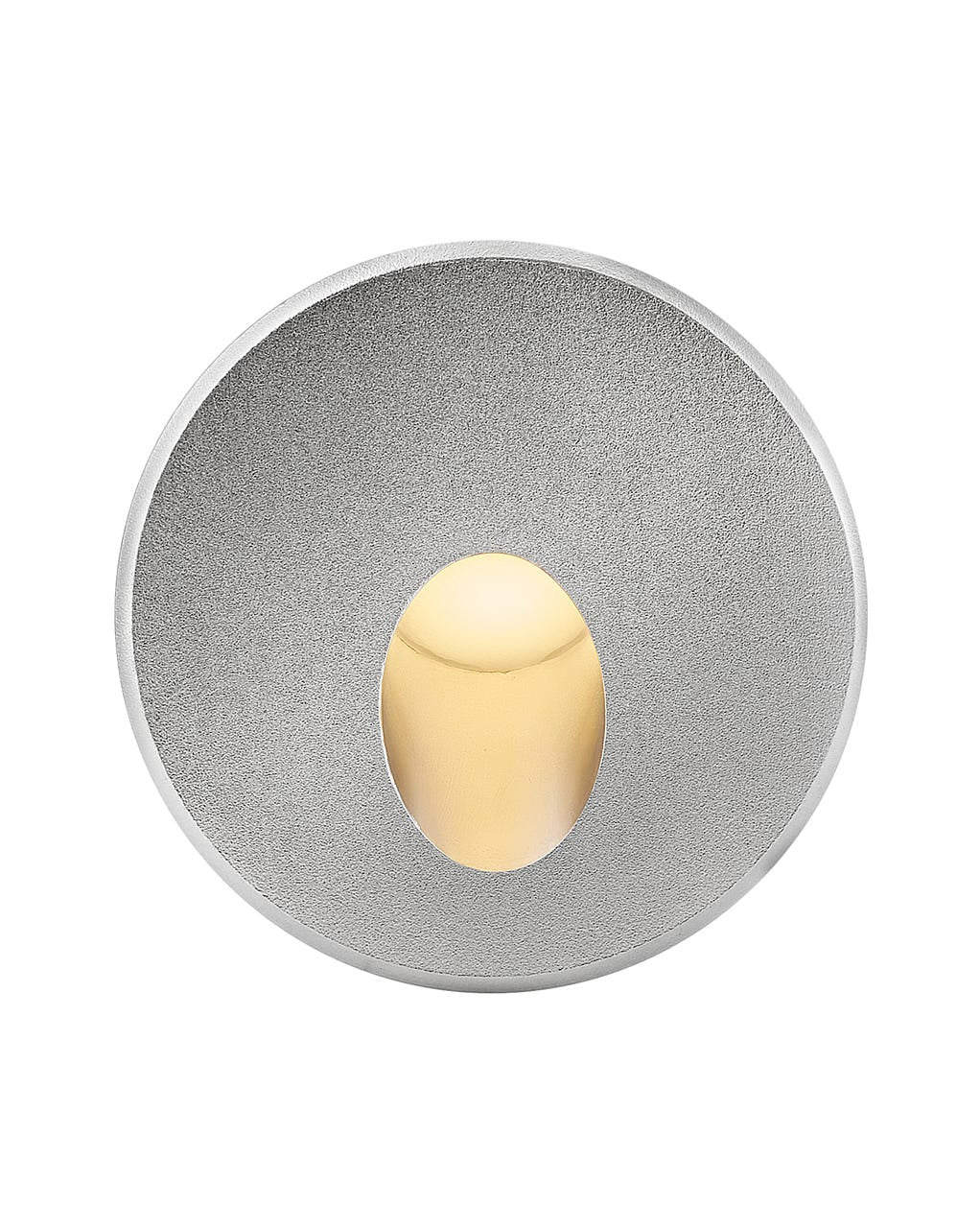 Tilt LED Wall Mount in Stainless Steel
