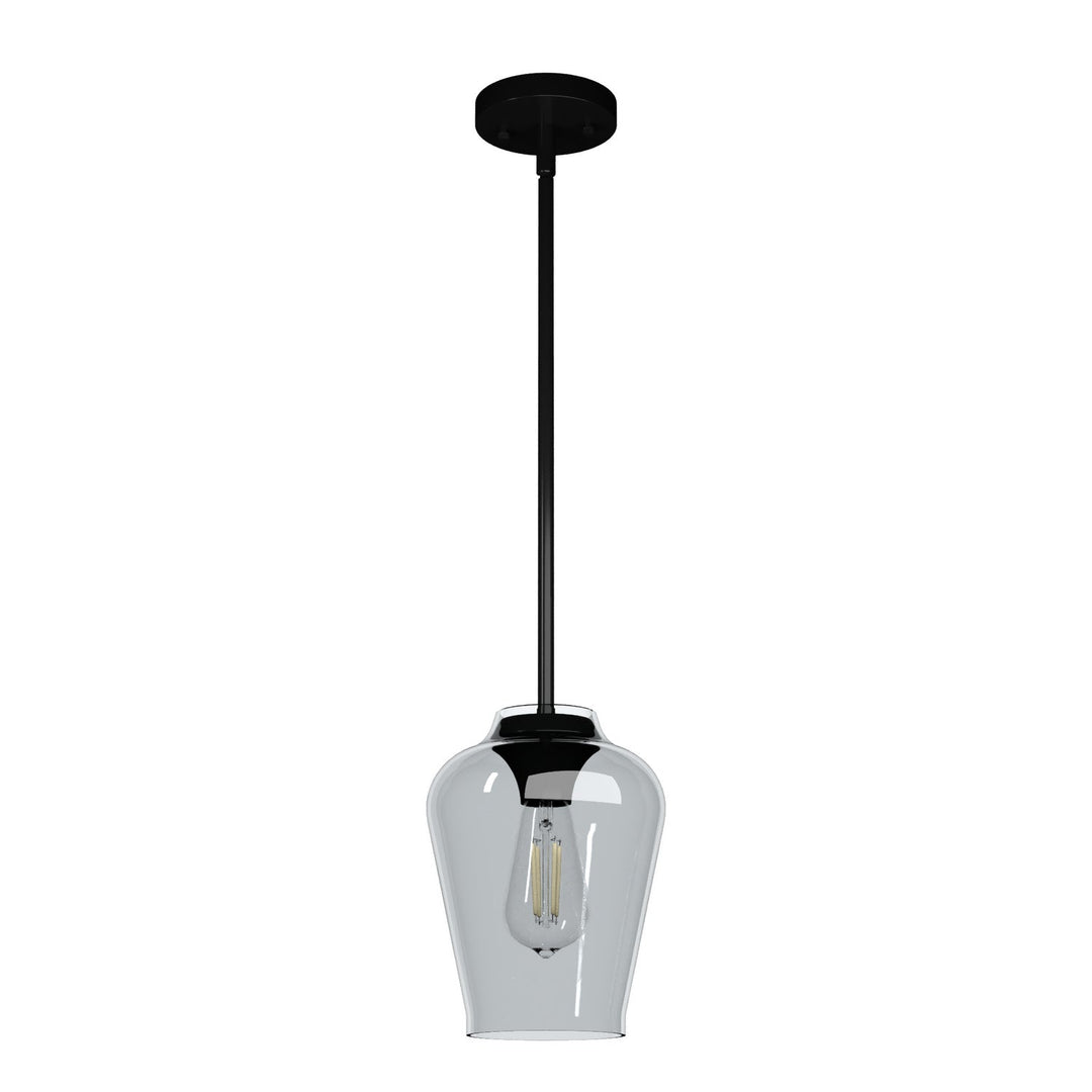 Vidria One Light Mini Pendant in Matte Black
